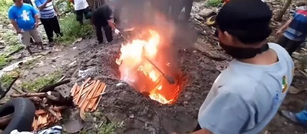 Коронавирус тараткан! Бийликтин миңдеген жарганатты өрттөгөн видеосу - Sputnik Кыргызстан