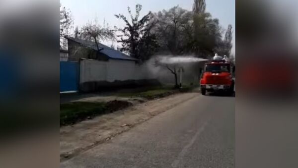 Как в Сузаке дезинфицируют улицы — видео - Sputnik Кыргызстан