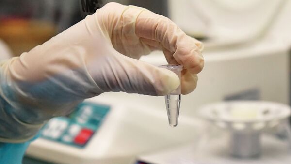 Сотрудница лаборатории проводит тестирование проб на коронавирус - Sputnik Кыргызстан