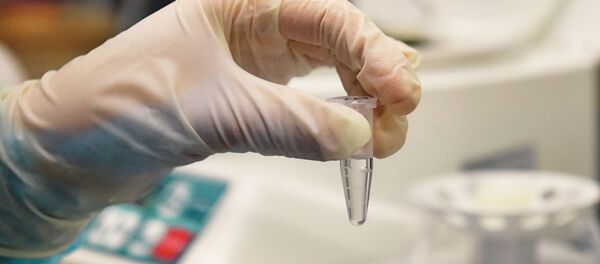 Сотрудница лаборатории проводит тестирование проб на коронавирус - Sputnik Кыргызстан