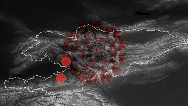 Коронавирус в Кыргызстане — онлайн-карта распространения инфекции - Sputnik Кыргызстан
