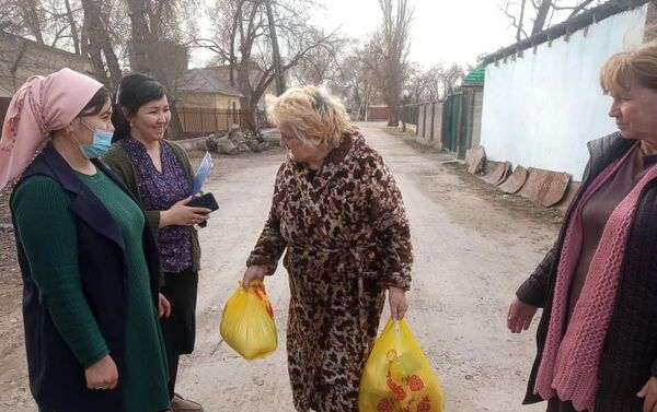 Из-за ситуации с COVID-19 соцработники помогают пенсионерам измерить давление и доставляют им продукты. - Sputnik Кыргызстан