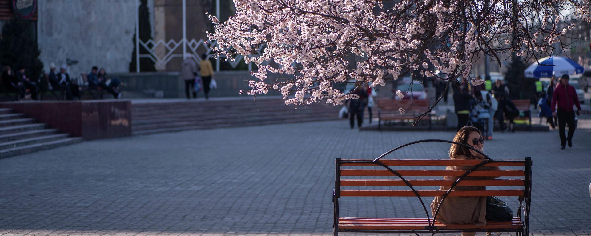 Девушка сидит на скамейке у цветующего абрикосового дерева на площади Ала-Тоо в Бишкеке. Архивное фото - Sputnik Кыргызстан, 1920, 17.03.2024