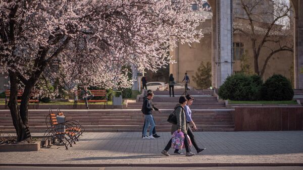 Люди проходят у цветущего абрикосового дерева в Бишкеке. Архивное фото - Sputnik Кыргызстан