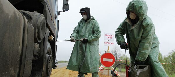 Вспышка африканской чумы свиней в Новгородской области - Sputnik Кыргызстан