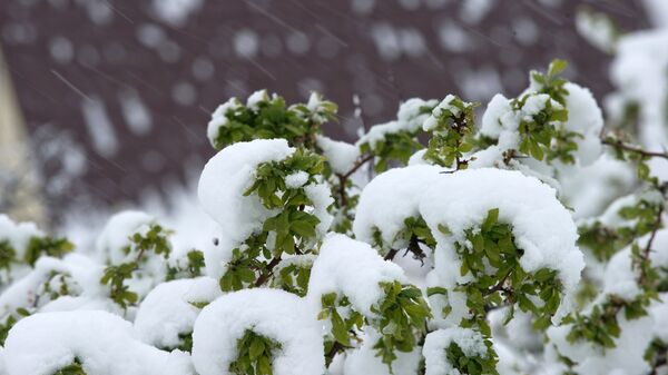 Кар. Архив - Sputnik Кыргызстан