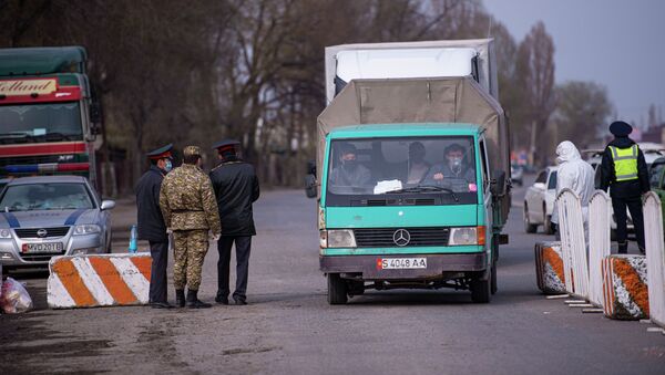 Водитель грузового автомобиля проезжает санитарно-карантинный пост на въезде в город Бишкек. Архивное фото - Sputnik Кыргызстан