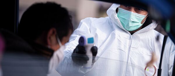 Временные ограничения на въезд в Бишкек из-за коронавируса - Sputnik Кыргызстан