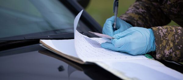 Временные ограничения на въезд в Бишкек из-за коронавируса Временные ограничения на въезд в Бишкек из-за коронавируса - Sputnik Кыргызстан