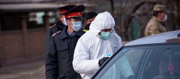 Временные ограничения на въезд в Бишкек из-за коронавируса - Sputnik Кыргызстан