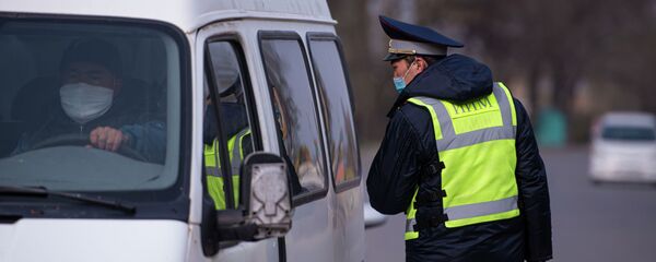 Временные ограничения на въезд в Бишкек из-за коронавируса - Sputnik Кыргызстан