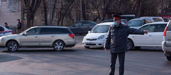 Кайгуул милициянын кызматкери иш учурунда. Архив Кайгуул милициянын кызматкери иш учурунда. Архив - Sputnik Кыргызстан