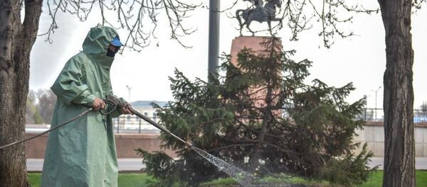 Көчөнү дезинфекциялап жаткан Тазалык кызматкери - Sputnik Кыргызстан