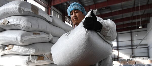 Сотрудник на линии фасовки гречки на производственном комплексе. Архивное фото - Sputnik Кыргызстан