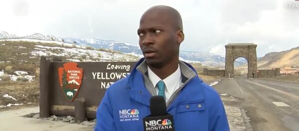 Бизоны вмешались в съемку репортера — видео его реакции разлетелось в соцсети Бизоны вмешались в съемку репортера — видео его реакции разлетелось в соцсети - Sputnik Кыргызстан