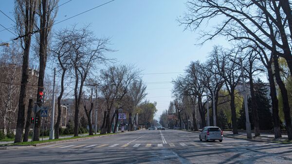 Пустая улица в Бишкеке, во время режима чрезвычайного положения из-за ситуации с коронавирусом - Sputnik Кыргызстан