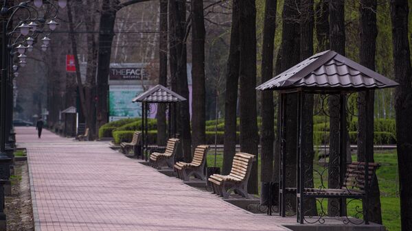 Скамейки на бульваре Эркиндик. Архивное фото - Sputnik Кыргызстан