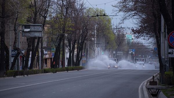 Муниципальные службы дезинфицируют улицы Бишкека, во время режима чрезвычайного положения из-за ситуации с коронавирусом. Архивное фото - Sputnik Кыргызстан