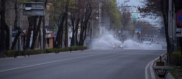 Муниципальные службы дезинфицируют улицы Бишкека, во время режима чрезвычайного положения из-за ситуации с коронавирусом - Sputnik Кыргызстан