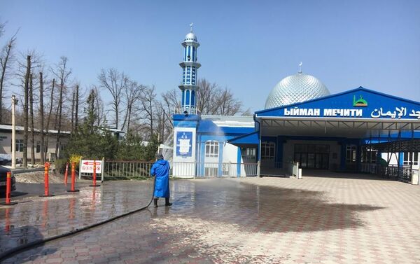 Специальную обработку провели уже более чем на 70 улицах столицы - Sputnik Кыргызстан