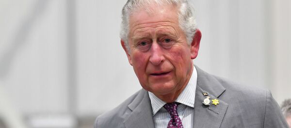 Сын королевы Великобритании принц Чарльз. Архивное фото - Sputnik Кыргызстан