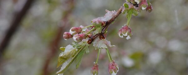 Прогноз погоды - Sputnik Кыргызстан