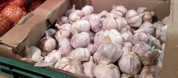 Продажа чеснока в Москве - Sputnik Кыргызстан