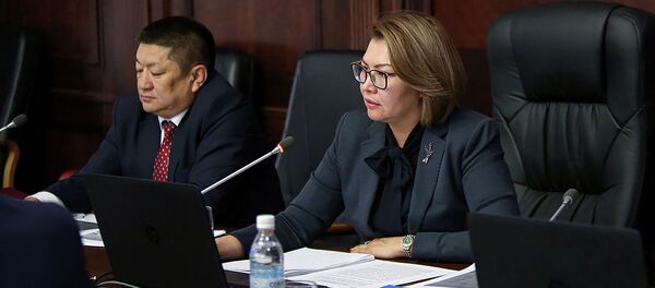 Заседание Межсекторального координационного совета по созданию и развитию электронной базы данных лекарственных средств - Sputnik Кыргызстан