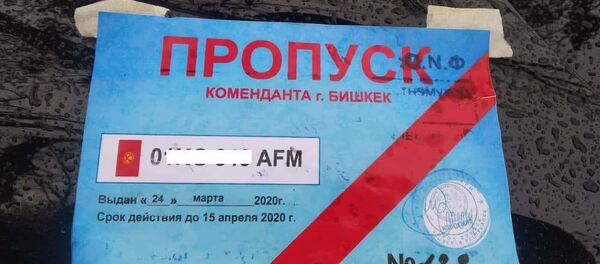 Жасалма өткөрмө кагаз  - Sputnik Кыргызстан