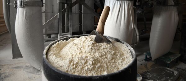 Деревня Аполлоновка в Омской области - Sputnik Кыргызстан