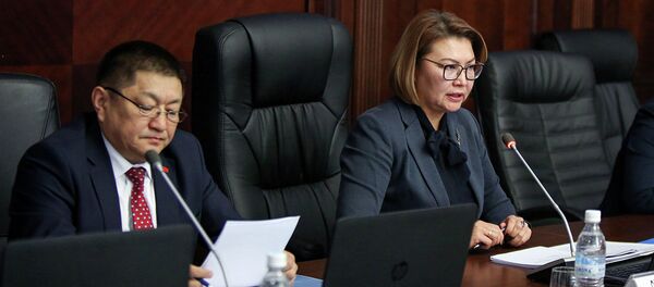 Заседание Межсекторального координационного совета по созданию и развитию электронной базы данных лекарственных средств - Sputnik Кыргызстан