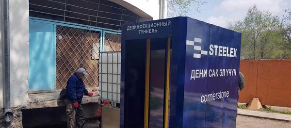 Дезинфекциялоочу туннель. Архив - Sputnik Кыргызстан