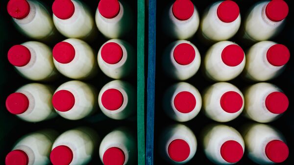 Молоко. Архивное фото - Sputnik Кыргызстан