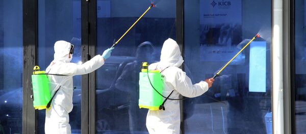 Дезинфекция жүргүзүү. Архив - Sputnik Кыргызстан