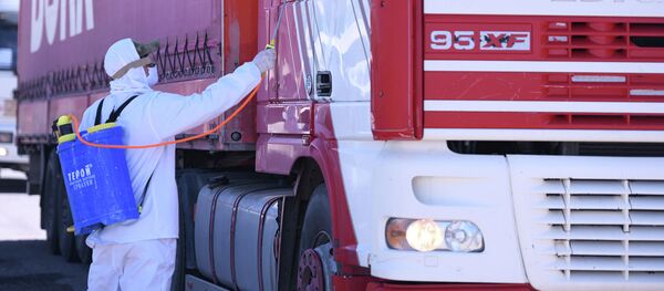 Дезинфекция грузового автомобиля на блок-посту в одном из населенных пунктов Ошской области - Sputnik Кыргызстан