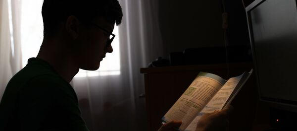 Дистанционное обучение школьников в Краснодарском крае - Sputnik Кыргызстан