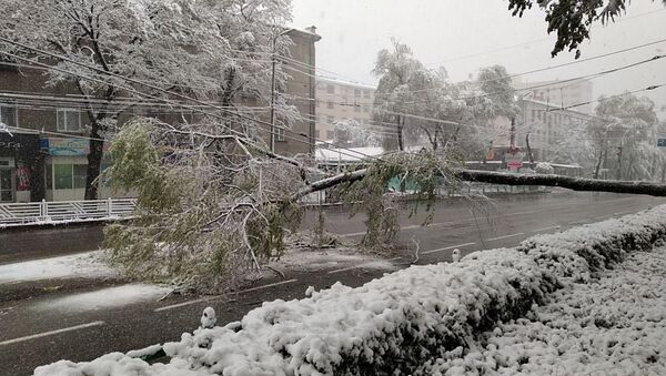 Ситуация в Бишкеке из-за выпавшего снега  - Sputnik Кыргызстан