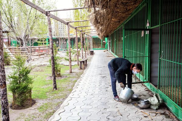 Реабилитационный зоопарк в парке Асанбай в Бишкеке - Sputnik Кыргызстан