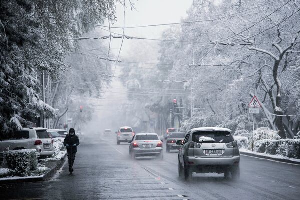 Весенний снег в Бишкеке - Sputnik Кыргызстан