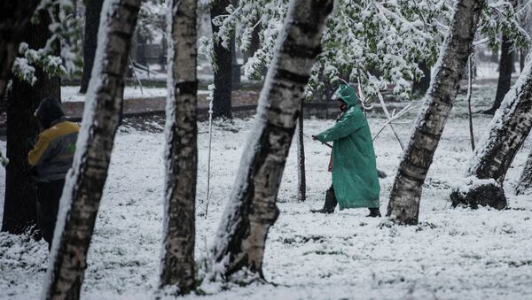 Весенний снег в Бишкеке - Sputnik Кыргызстан