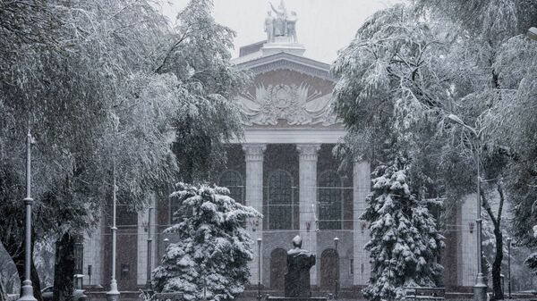 Театр оперы и балета во время снегопада в Бишкеке. Архивное фото - Sputnik Кыргызстан