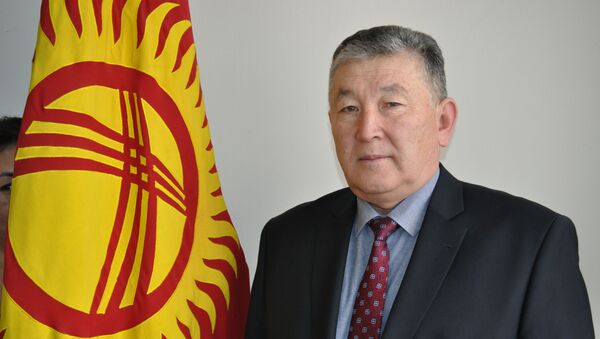 Заместитель министра здравоохранения КР Усенбаев Нурболот - Sputnik Кыргызстан