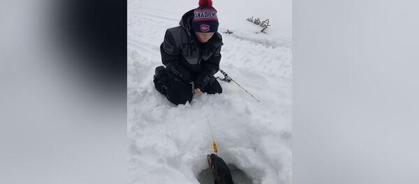 В Канаде мальчик вытащил из лунки огромную рыбу — его реакцию стоит увидеть В Канаде мальчик вытащил из лунки огромную рыбу — его реакцию стоит увидеть - Sputnik Кыргызстан