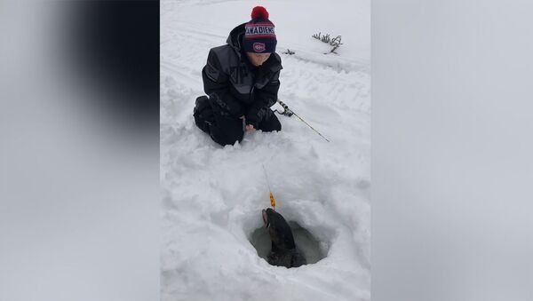 В Канаде мальчик вытащил из лунки огромную рыбу — его реакцию стоит увидеть - Sputnik Кыргызстан
