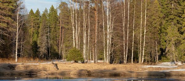 Весна в Карелии - Sputnik Кыргызстан