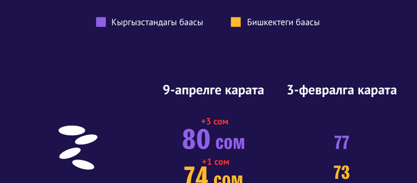 Кыргызстанда азык-түлүктүн баасы канчага өзгөрдү  - Sputnik Кыргызстан