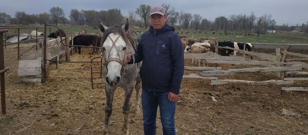 Чүйлүк жеке ишкер Күлчоро Аксакалов - Sputnik Кыргызстан