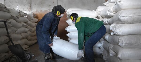 Ун заводдун ишкерлери ун каптартды ташып жатышат. Архив - Sputnik Кыргызстан