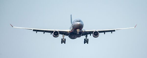Пассажирский самолет Airbus A330 заходит на посадку в международном аэропорту. Архивное фото - Sputnik Кыргызстан