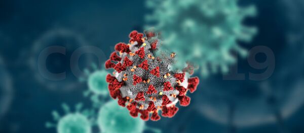 Чем заражаются кыргызстанцы — рейтинг болезней и коронавирус - Sputnik Кыргызстан